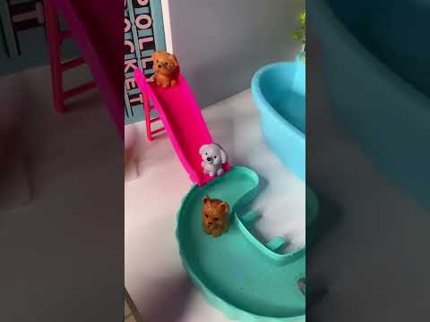 tem uma tartaruga na piscina das pollys #pollys #barbie #pisicna #daitoys