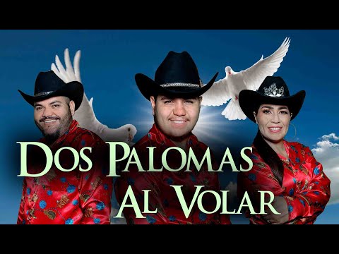 Dos Palomas Al Volar