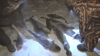 видео