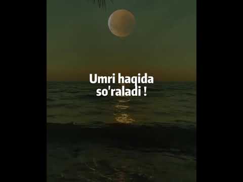 Қайсиниси муҳим? - Абдуллоҳ домла