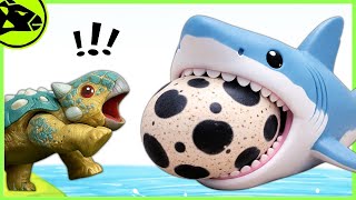 Baby Shark EATS Egg