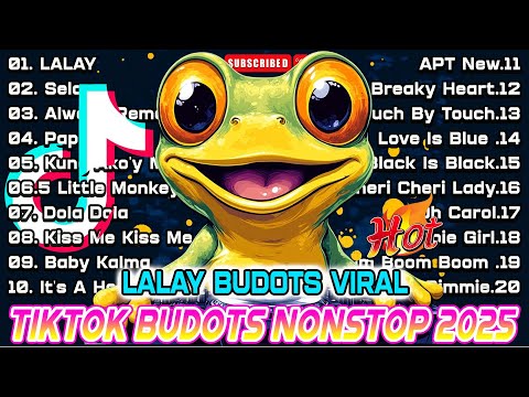 NEW TIKTOK DISCO PARTY REMIX 2025 - TIKTOK MASHUP BUDOTS DANCE REMIX 2025