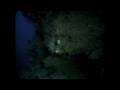 Deep Diving Knowledge Assessment