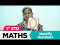 Understanding Numbers and Their Representations