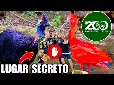 Zooparque Itatiba VAMOS CONHECER UM NOVO LOCAL | CASUAR AVE MAIS PERIGOSA DO MUNDO  | Aves Recriar