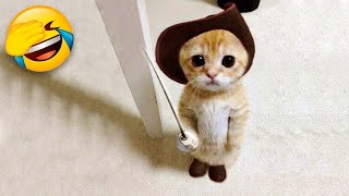 Funniest animals will make you laugh to die 😻🐶 Cute cats and dogs ever 🤣