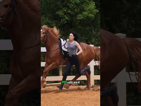 Are Horses Really Smart Or Just An Upgraded Donkey ?