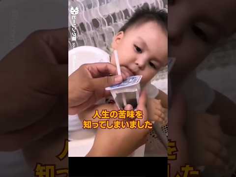 人生の苦味を知ってしまいました | 癒し動画