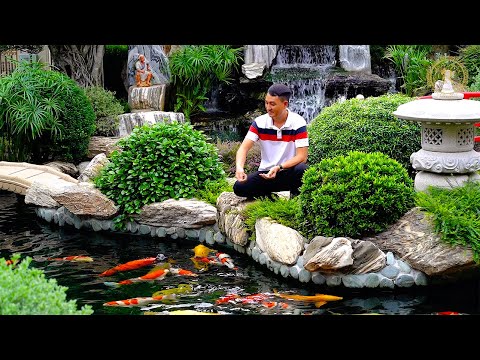 Asia's $1,000,000 dollar FISH POND and GARDEN DESIGN