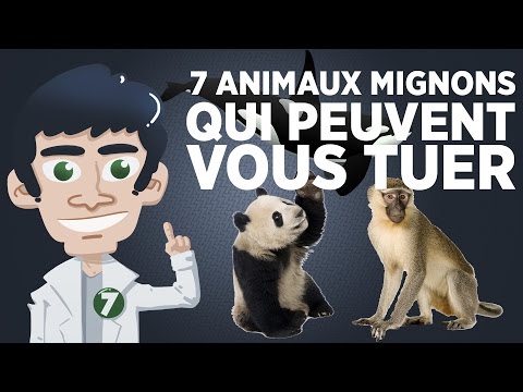 7 animaux mignons qui ne le sont pas du tout