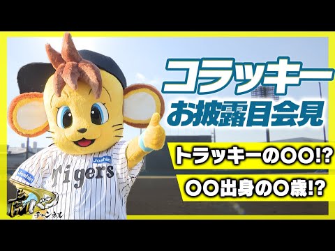 【コラッキー】新マスコットが阪神タイガースに入団！新球場でお披露目会見！阪神タイガース密着！応援番組「虎バン」ABCテレビ公式チャンネル