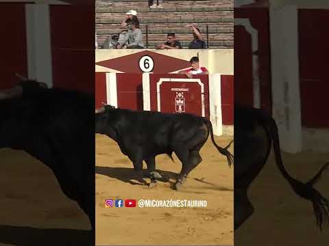 El Toro Salta al Callejón