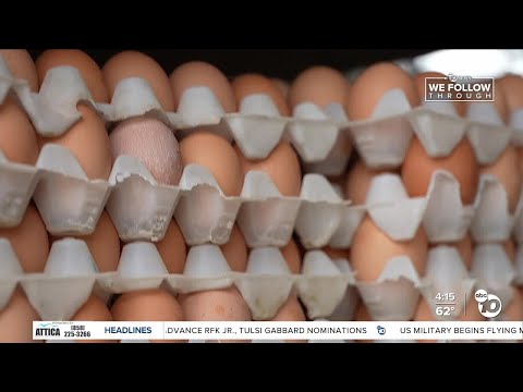 Lakeside ranch owner speaks on rising cost of eggs