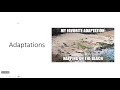 Natural Selection and Evolution Concepts
