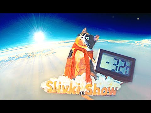 CAT IN SPACE