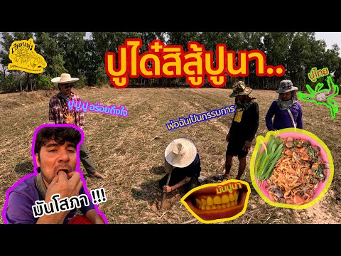 เซียนหรั่ง l วิถีชีวิตแบบมะลายยายอยาก l ตอน ปูได๋สิสู้ปูนา