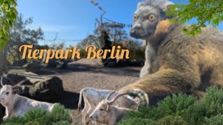 Tierpark Berlin | Besser als der Zoo? | Deutsch 2024