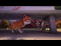 Understanding the Adventures of Gato and the Dog