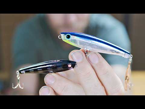 Lures I throw in 2024? Malosi's Full Range walk through & Daiwa Bait Junkie Soft Lures