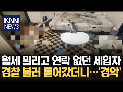 "창문에서 고양이가 자꾸 울어요" 주민 신고에 들어가보니…경악 / KNN