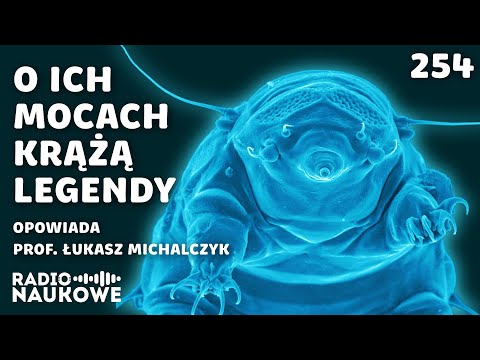 Niesporczaki – twardziele mikroświata, naginający zasady biologii | prof. Łukasz Michalczyk