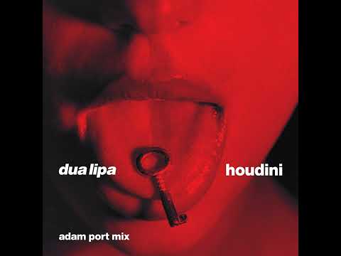 Dua Lipa - Houdini (Adam Port Mix)