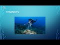 Population Estimation Techniques in Ecology