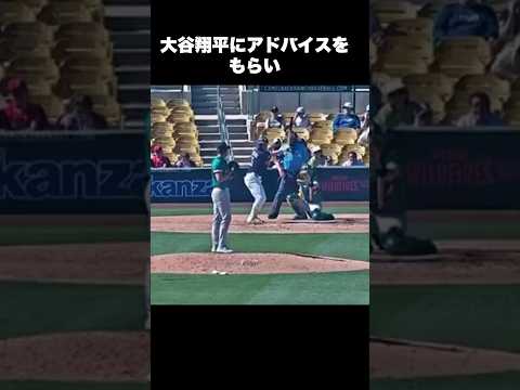 WBCから帰還したMLB初挑戦の主砲たち #村上宗隆 #岡本和真 #mlb #野球 #short