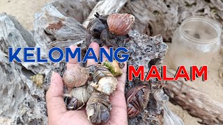 CARI KELOMANG UMANG UMANG MALAM HARI