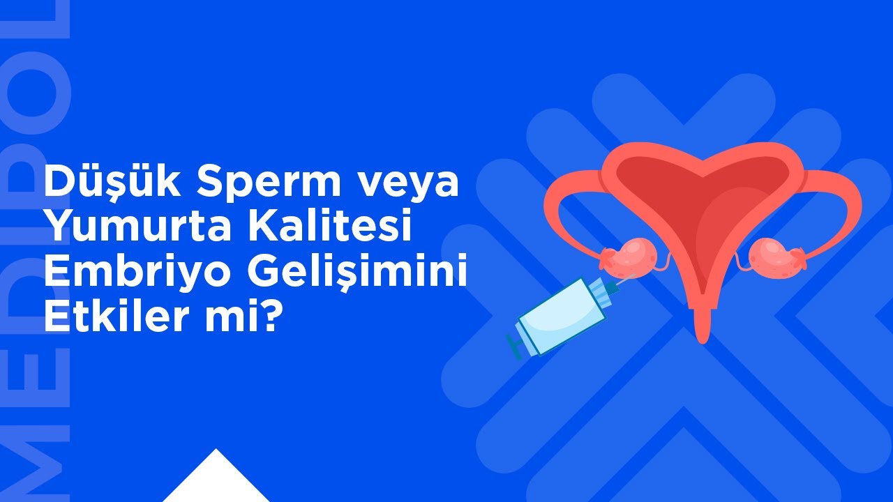 Düşük Sperm ve Yumurta Kalitesi Tüp Bebek Başarısını Nasıl Etkiler?