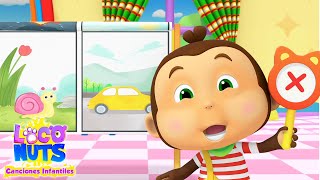 Canción de los Opuestos 🎵 | Loco Nuts | Música Educativa para Niños