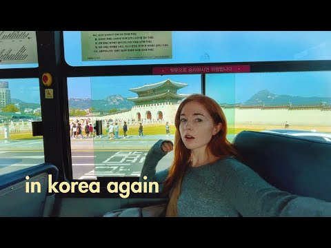 back in korea 🇰🇷 my visa, voting, small apartment updates, dealing w/ jetlag, my life in seoul VLOG