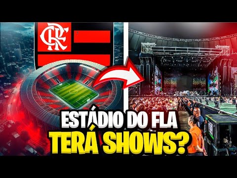 Estádio do Flamengo terá shows e gramado sintético? Entenda aqui