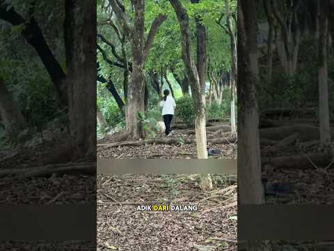 Jika anda kehilangan anjing kesayangan #shorts #anjing