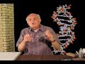 DNA and Chemical Bonding Concepts