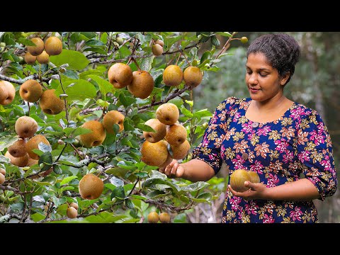 Golden Pears🍐🍐.The sweet and juicy taste of summer,made spicy and sweet recipes