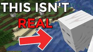 Can YOU Figure out what's wrong with these Minecraft Images?