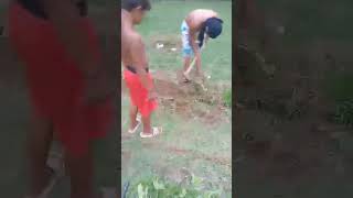 Work goes on at our farm in Guimaras Island!  Roosters are still loud. #americanexpat