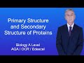 Protein Structure and Function Concepts