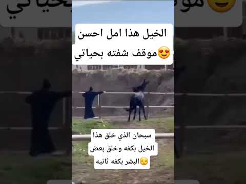 الخيل هذا عمل موقف يسجل له في التاريخ😍😍😍🥰