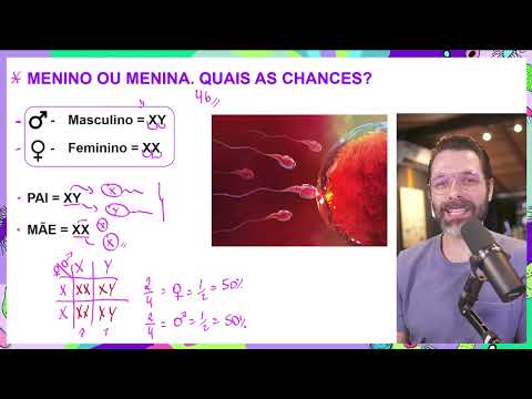 MENINO ou MENINA?👶 Descubra as Chances! Genética do sexo do bebê.🧬