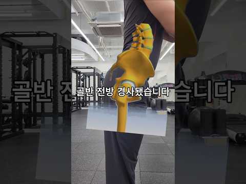 허리디스크 개선에 아무짝에 쓸모 없는 운동입니다. 디스크 병력 있으면 제발 하지마세요 #골반전방경사 #골반교정운동