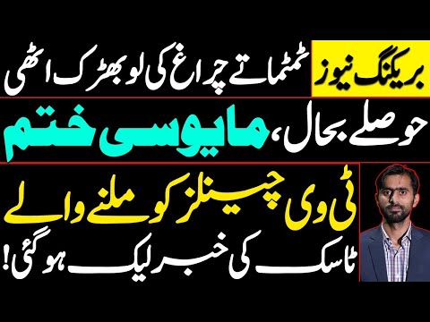Spirits are revived, despair is gone | News about the task assigned to TV channels has been leaked.
