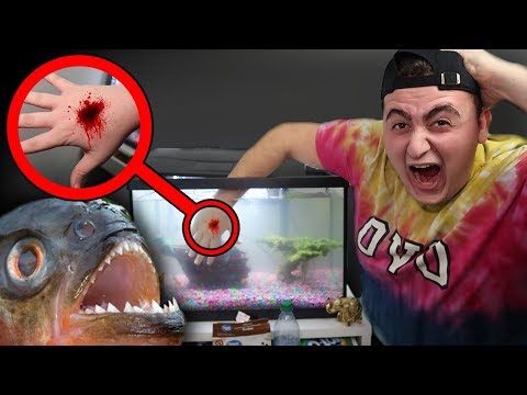 PUTTING MY HAND IN THE DARK WEB PIRANHA WATER FOR 24 HOURS STRAIGHT!! (SCARY!) *PIRANHA BIT ME*