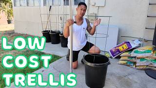 Start Growing Dragonfruit With This Simple And Affordable Trellis