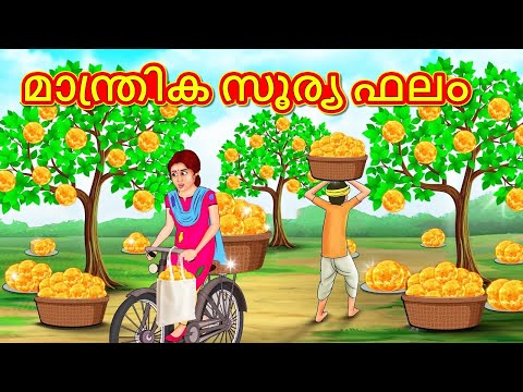 മാന്ത്രിക സൂര്യ ഫലം | Malayalam Stories | Stories in Malayalam | Moral Storie