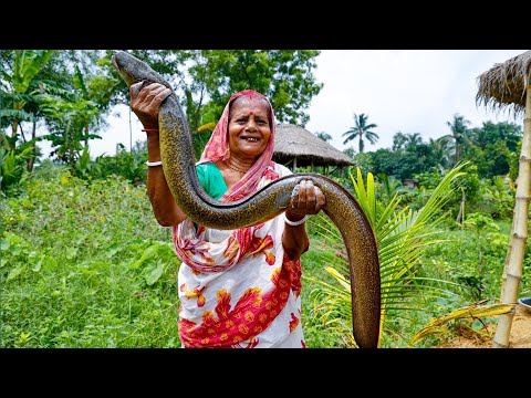 এই মাছের স্বাদ যেকোনো মাংস কে হার মানাবে | Indian Eel Fish Recipe | Tambu Fish |