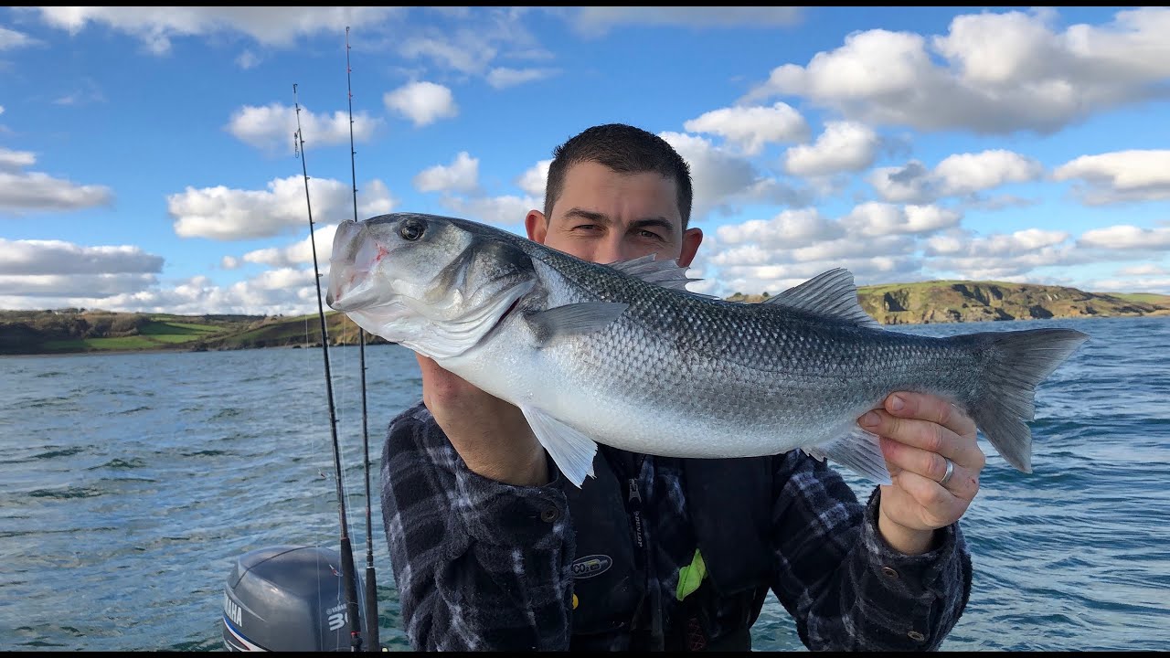 Lure fishing Bass and Pollack - Sea Fishing UK - The Fish Locker