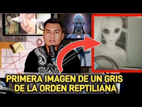 LA FOTOGRAFIA DE UN GRIS ABUDICIDOR QUE TRABAJA PARA REPTILIANOS.