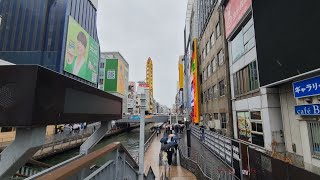 Great food in Osaka! Unique shopping experience. Too crowded at Osaka Castle! #osakafood #osakajapan